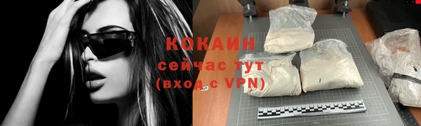 крисы Тында