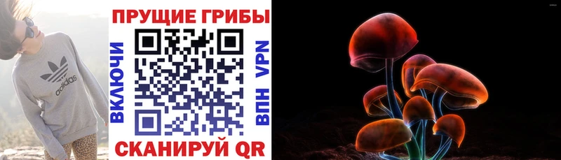Галлюциногенные грибы мухоморы  Староминская 